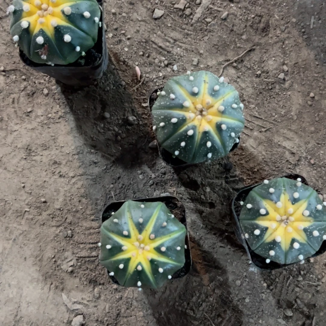 哈哈哈哈哈哈哈哈哈哈哈哈哈