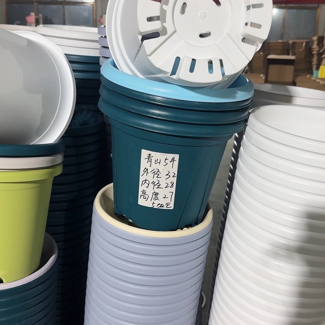 微瑕青山6号无拖5个