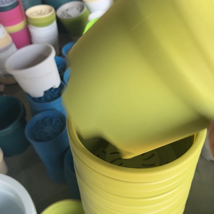 球根26口径10个无托果绿瑕疵