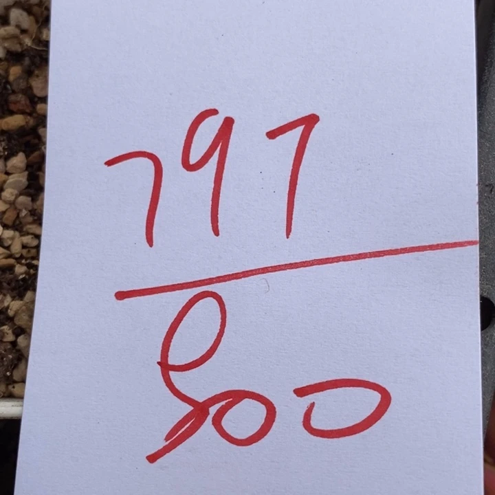 797一组一组一组