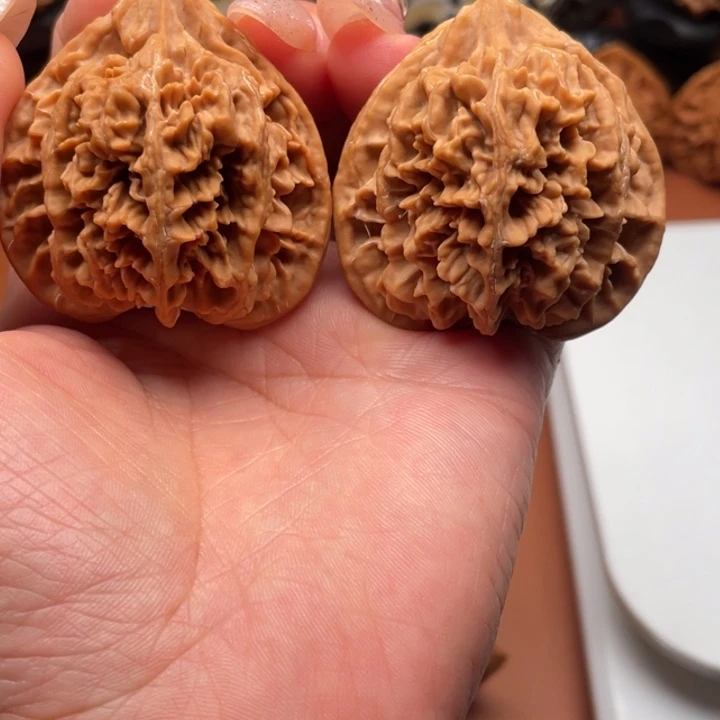 桃***儿香榧木秦核的一种新型的导弹武器系统和