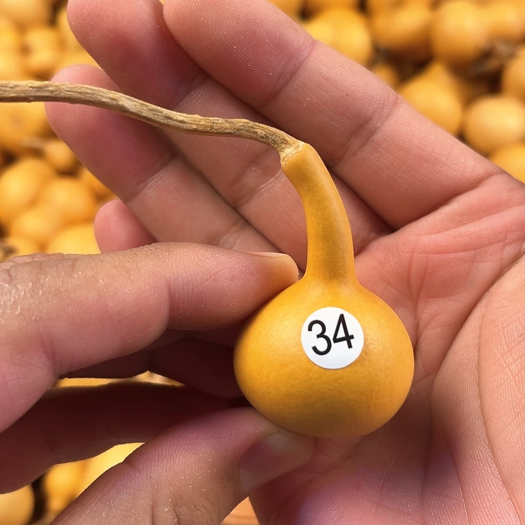四葫芦葫芦葫芦葫芦34