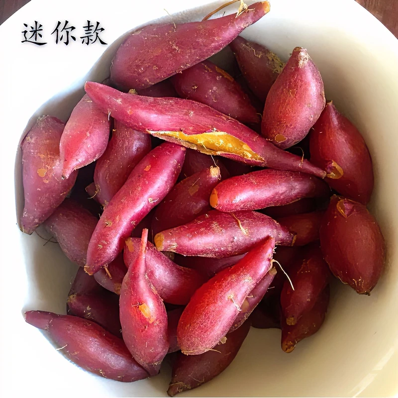 浙江临安天目山小香薯新鲜现挖现发农家软糯香甜小地瓜凉红薯板栗