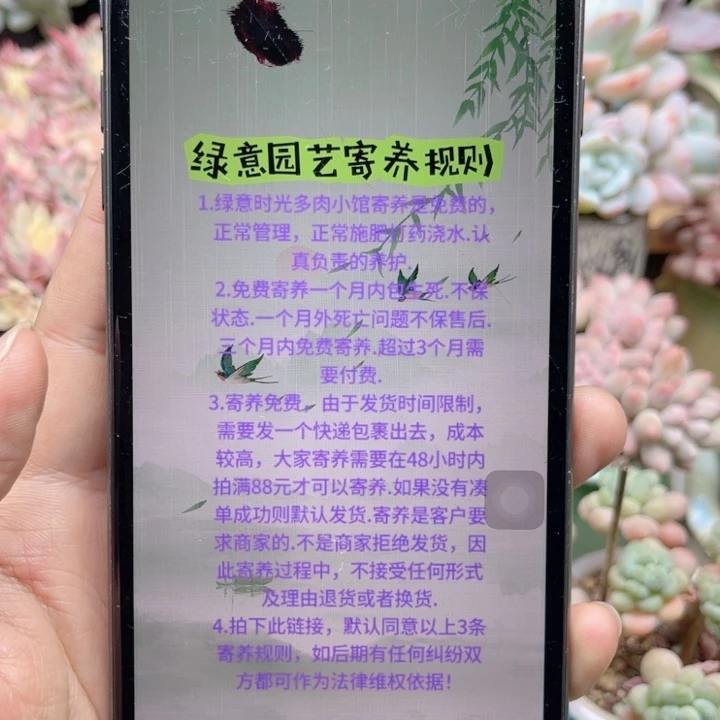 小****绿意时光寄养链接