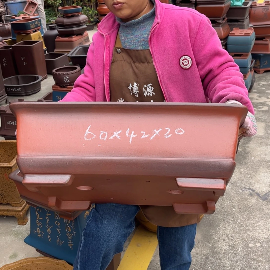 紫砂花盆盆景艺术