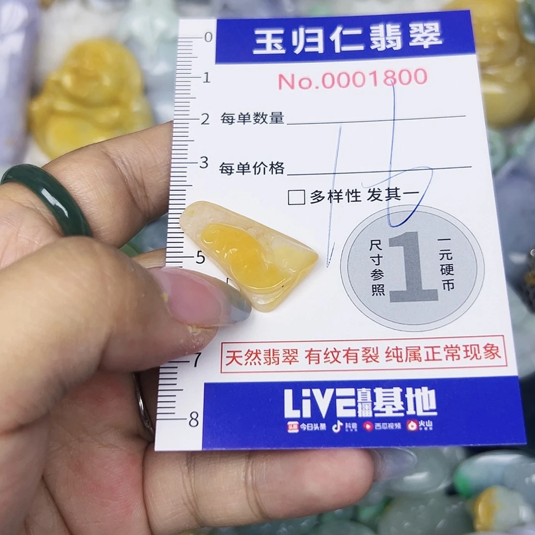 翡翠未镶嵌颈饰111
