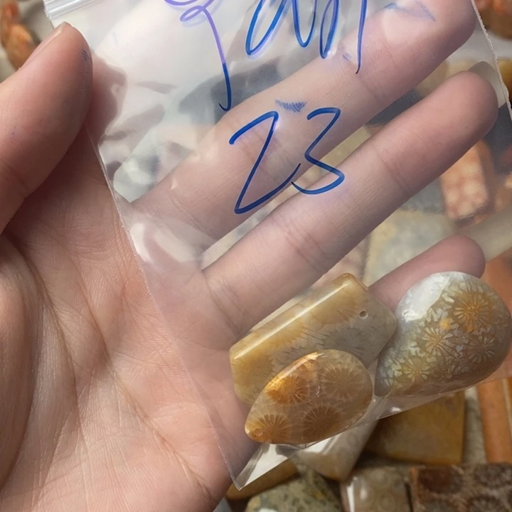 Y****颈饰未镶嵌硅化珊瑚（珊瑚玉）