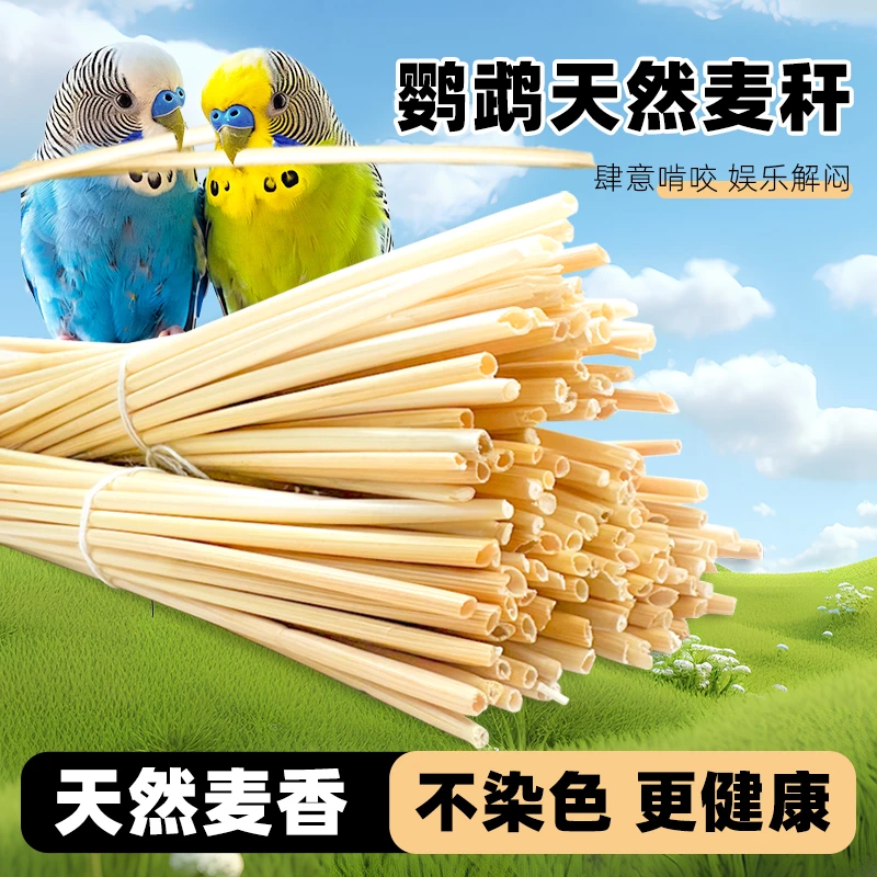 鹦鹉啃咬玩具天然麦秆小麦杆子解闷自嗨娱乐磨牙玄凤牡丹虎皮用品