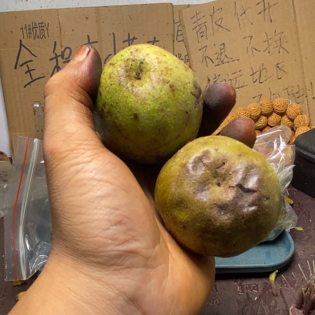 Zjc产地直发四座楼23