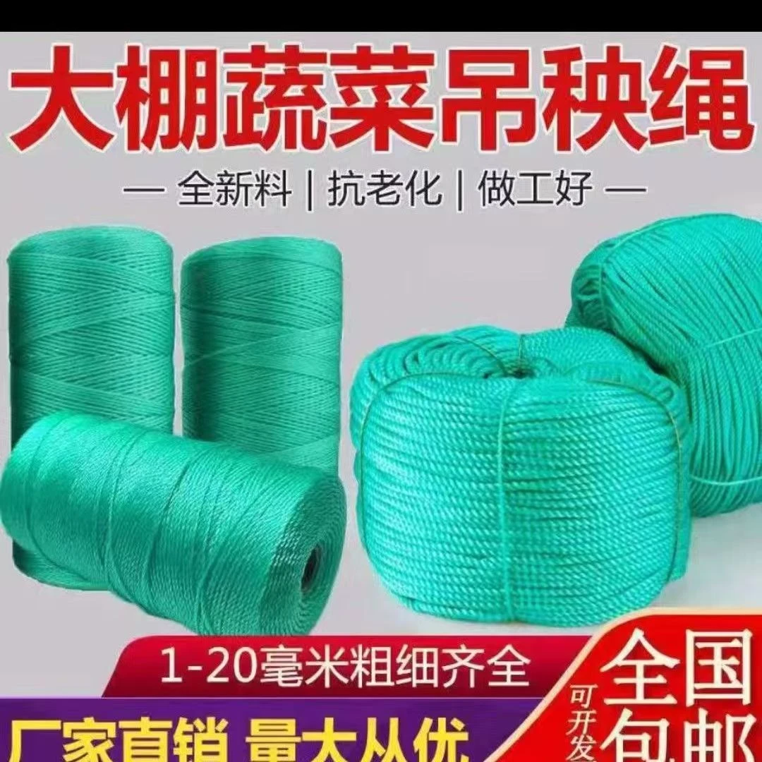 吊秧绳黄瓜西红柿蔬菜大棚吊蔓绳尼龙绳耐磨农用抗老化吊绳塑料绳