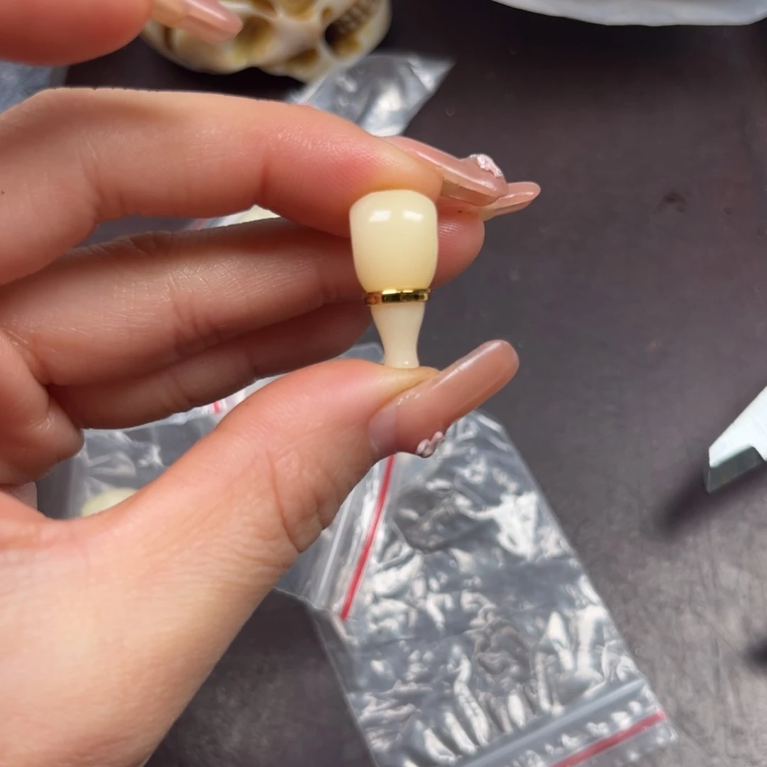 手串/手链驼骨编号61尺寸1.0