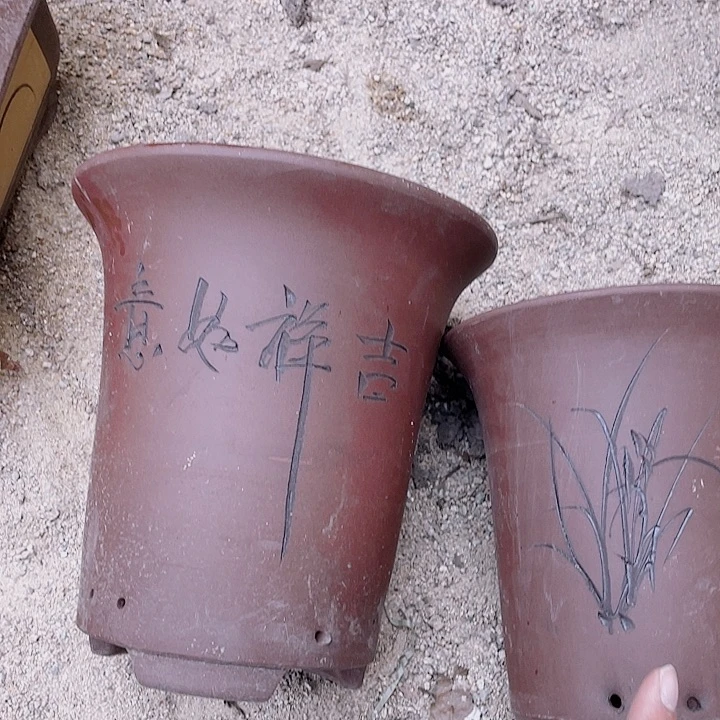 紫砂兰花盆2倨傲花片