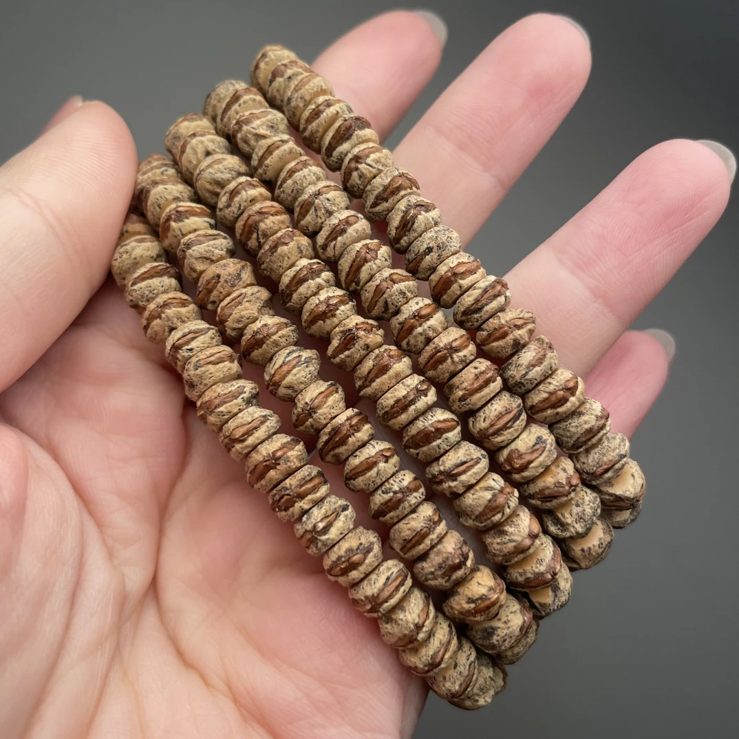 热振脏皮藏切橫打红芽柏香籽