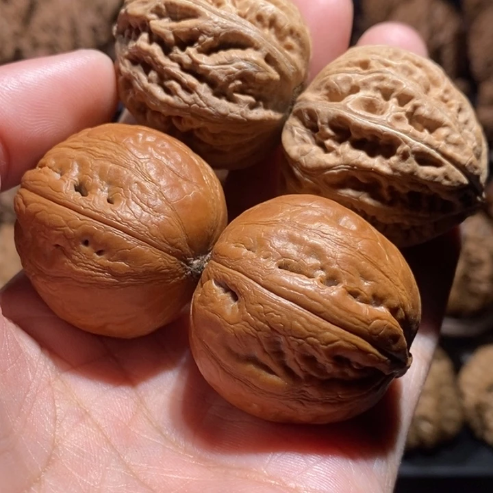 咖***啡文玩核桃把件文玩8