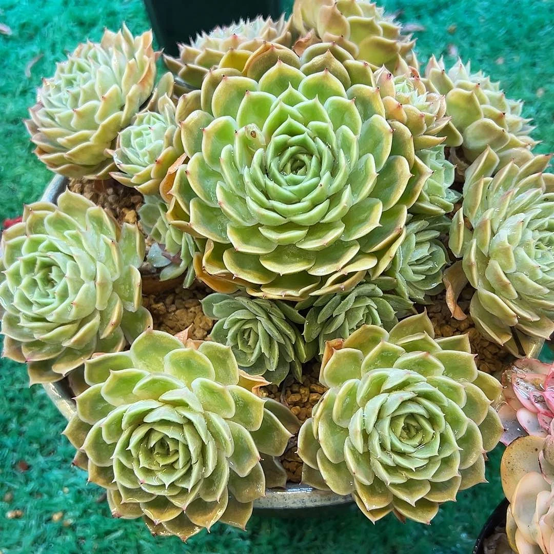 11，，，，，，，，，，，，，，，，，，