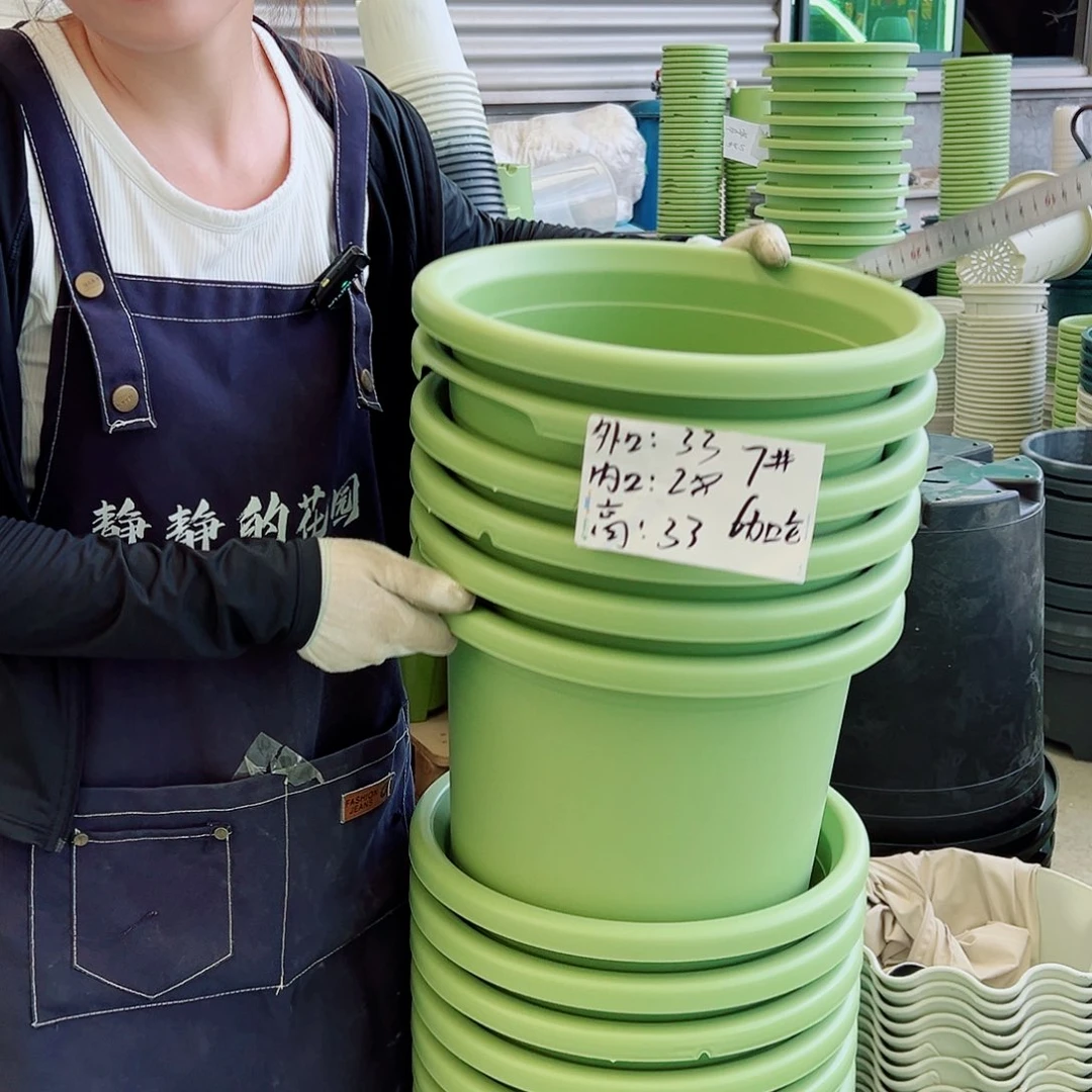 瑕疵四季盆7#果绿6个无托