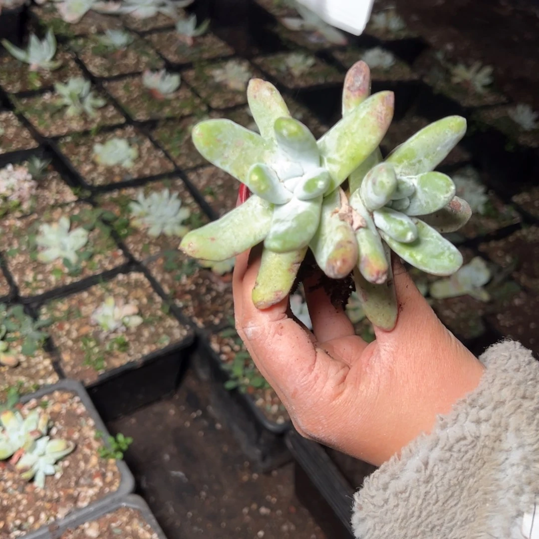 424哈哈哈哈哈哈哈哈