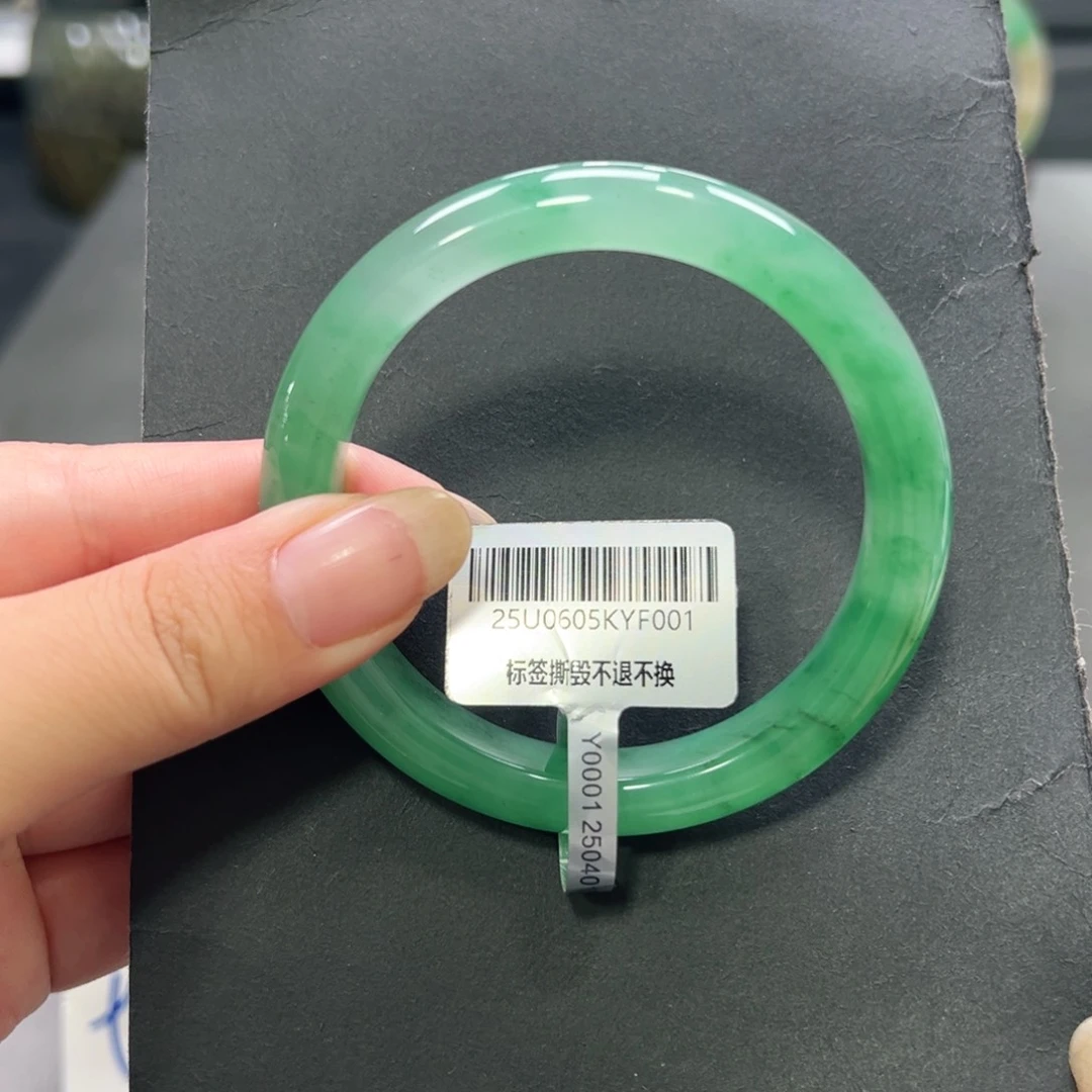 石英质玉（非洲翠）手镯未镶嵌安安 55