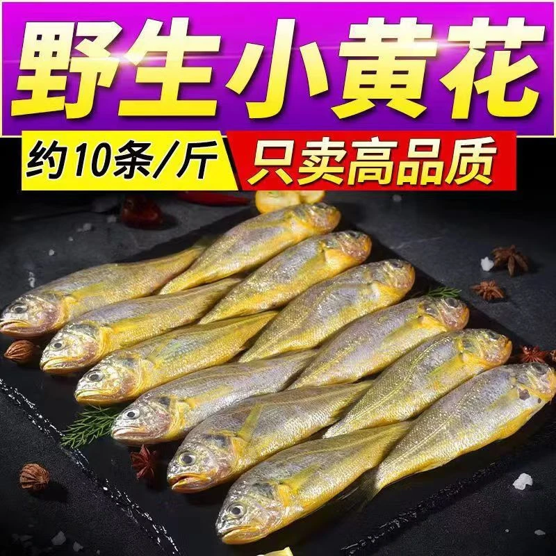 【海捕野生黄花鱼】5斤装正宗黄花鱼鲜活小黄花鱼带保鲜冰衣