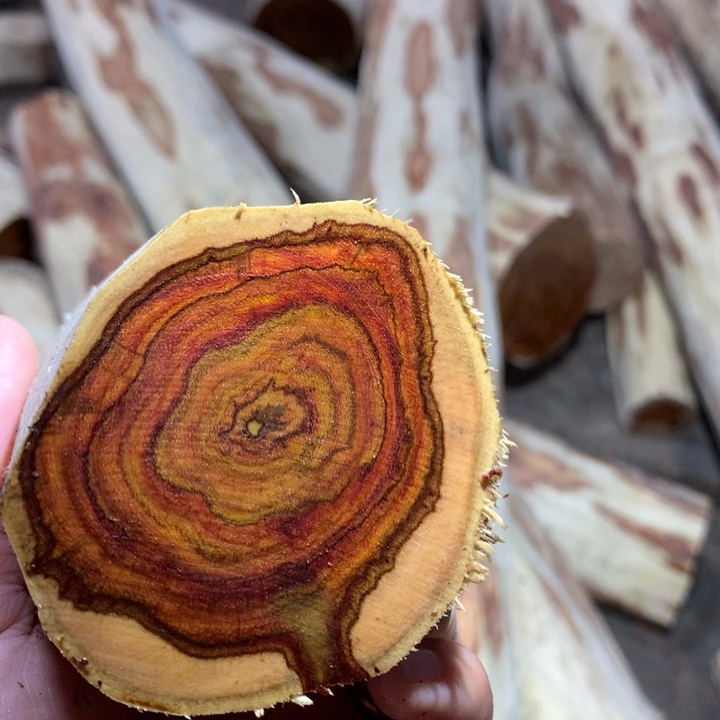 用***2花梨木类海南黄花梨