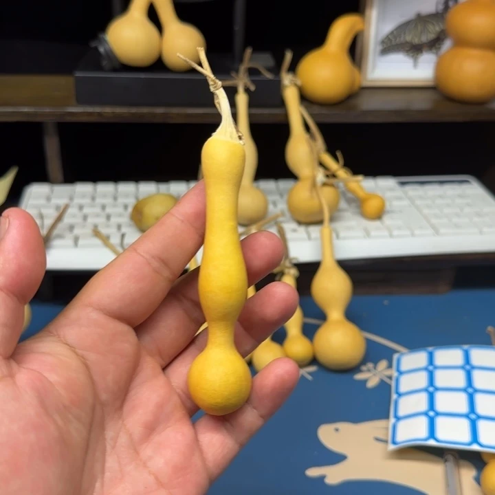 葫芦葫芦葫芦葫芦葫芦
