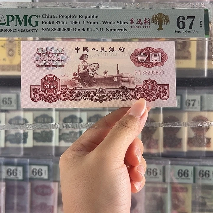 幸运树无347福利包邮