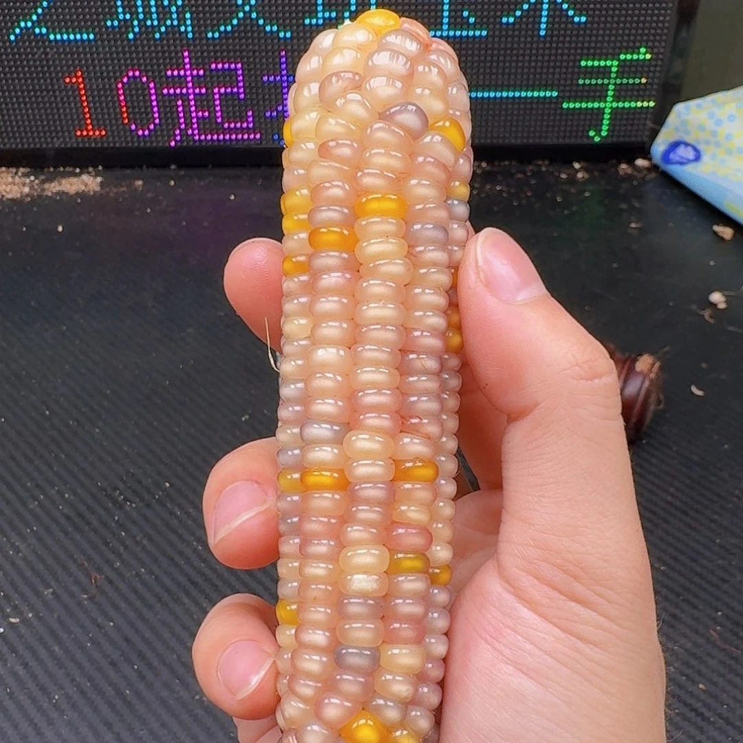 是***！柏香籽/百香籽吊坠