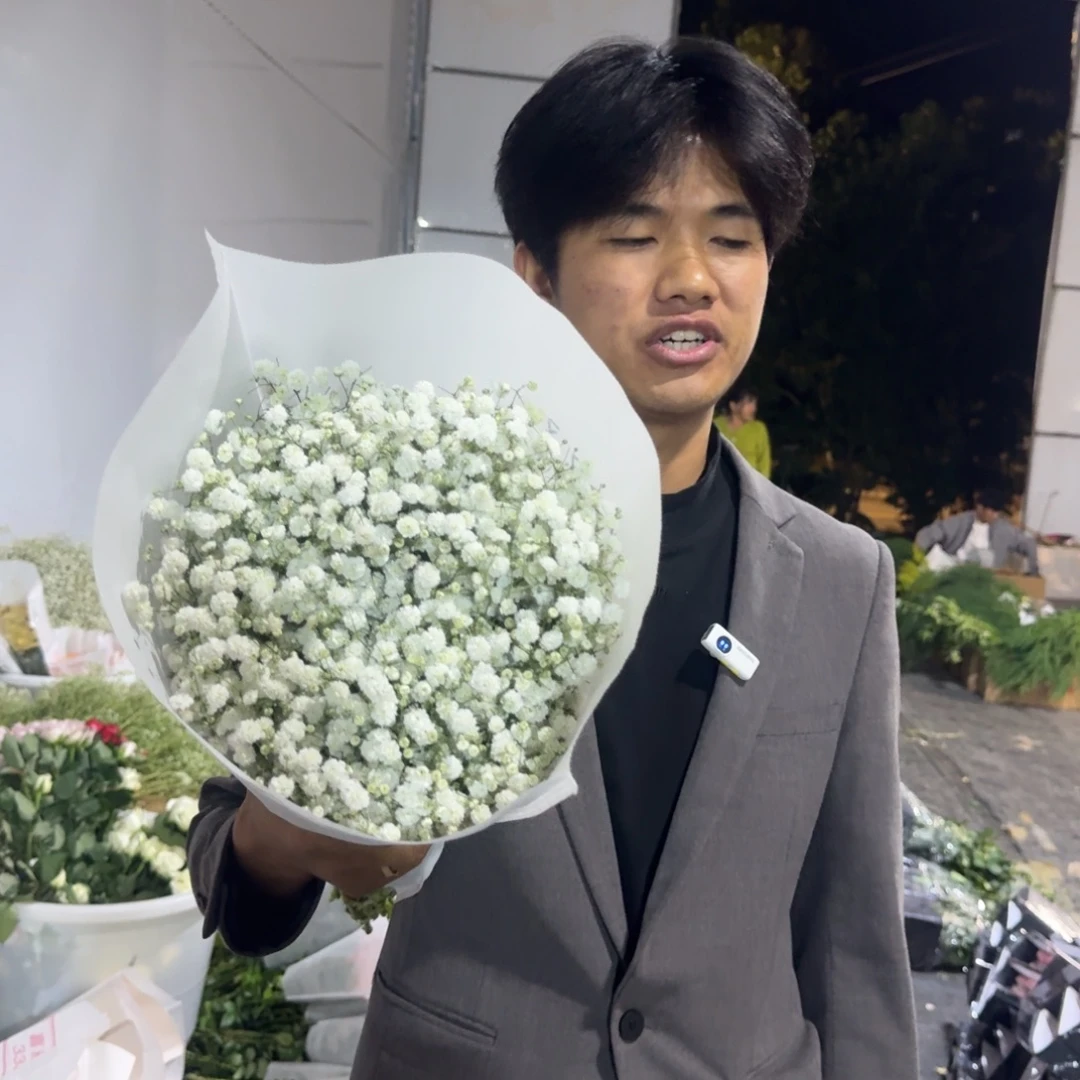 满天星1扎包邮价秒杀