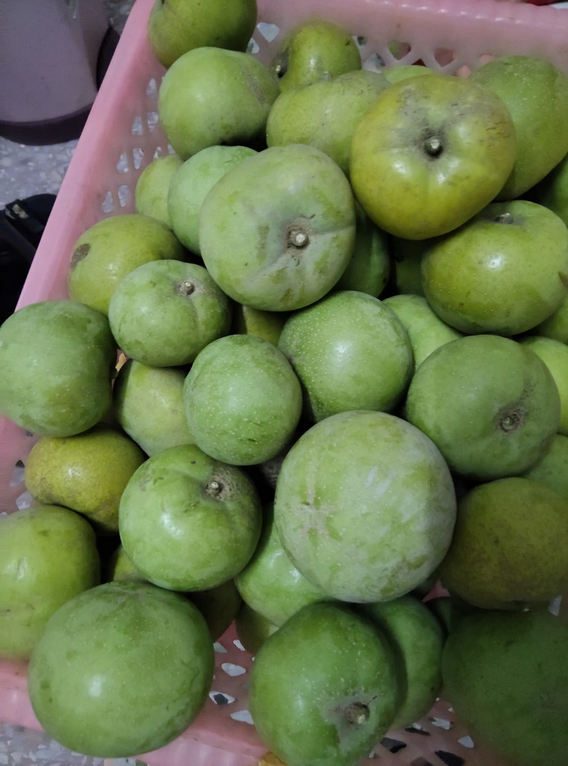 白柿冰淇淋果鲜果