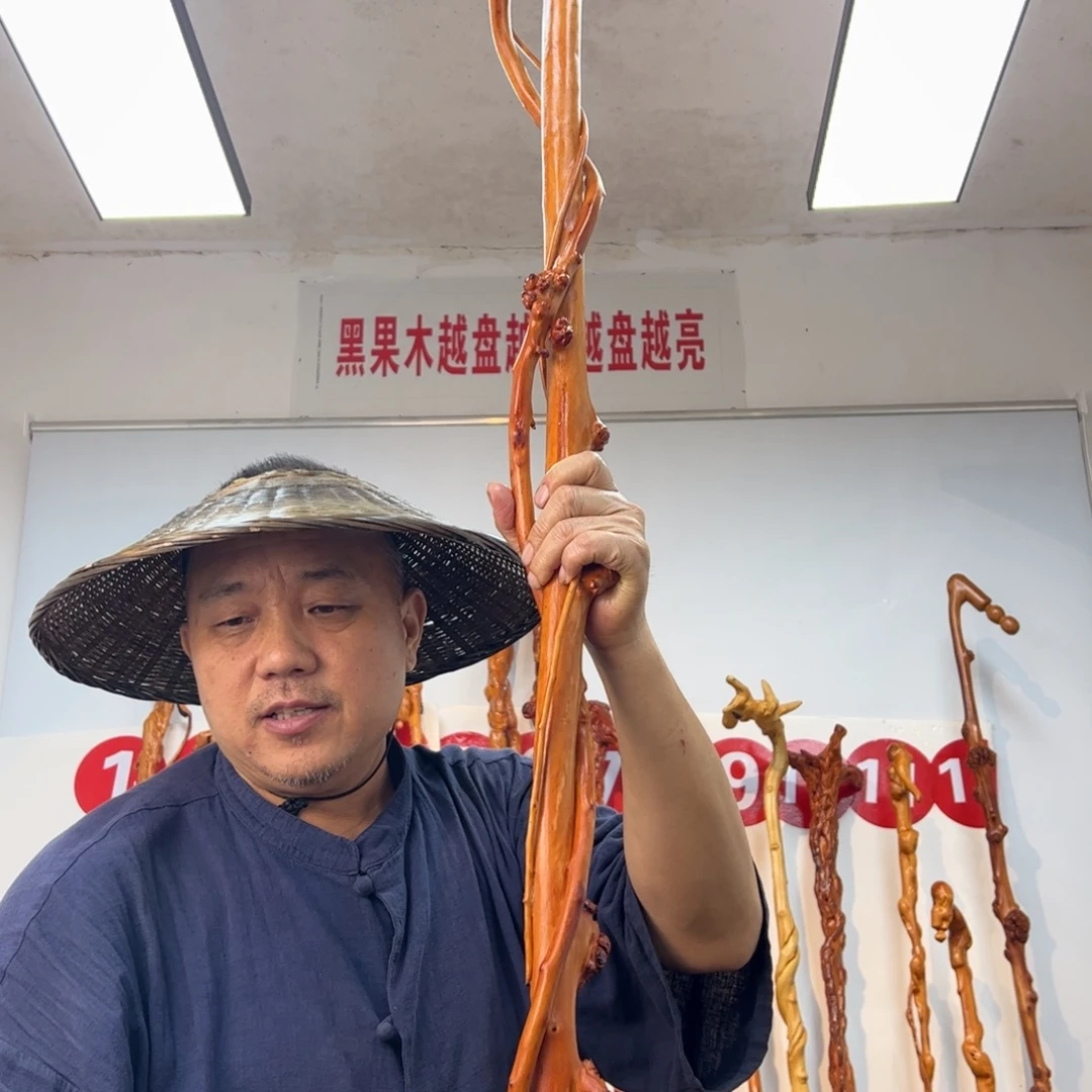朱***清黑果木其他黑果木741