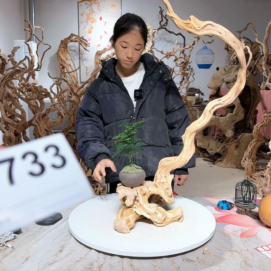 风车木（黑檀木）六**堂