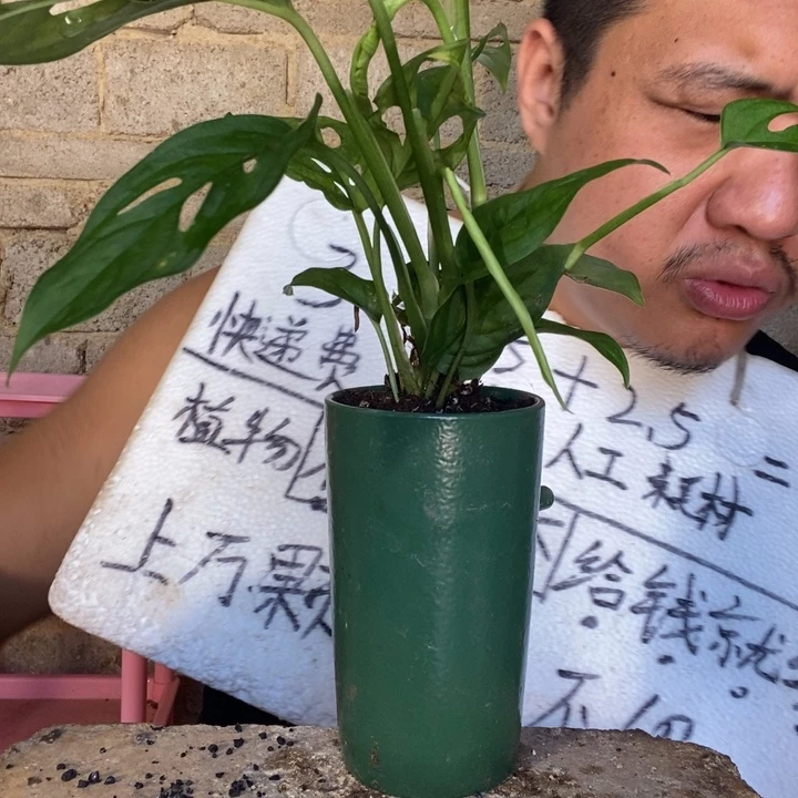 退款拉黑一物一拍13
