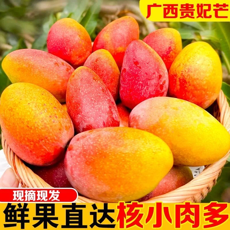 【放软吃】广西百色贵妃芒果新鲜现摘带箱10斤