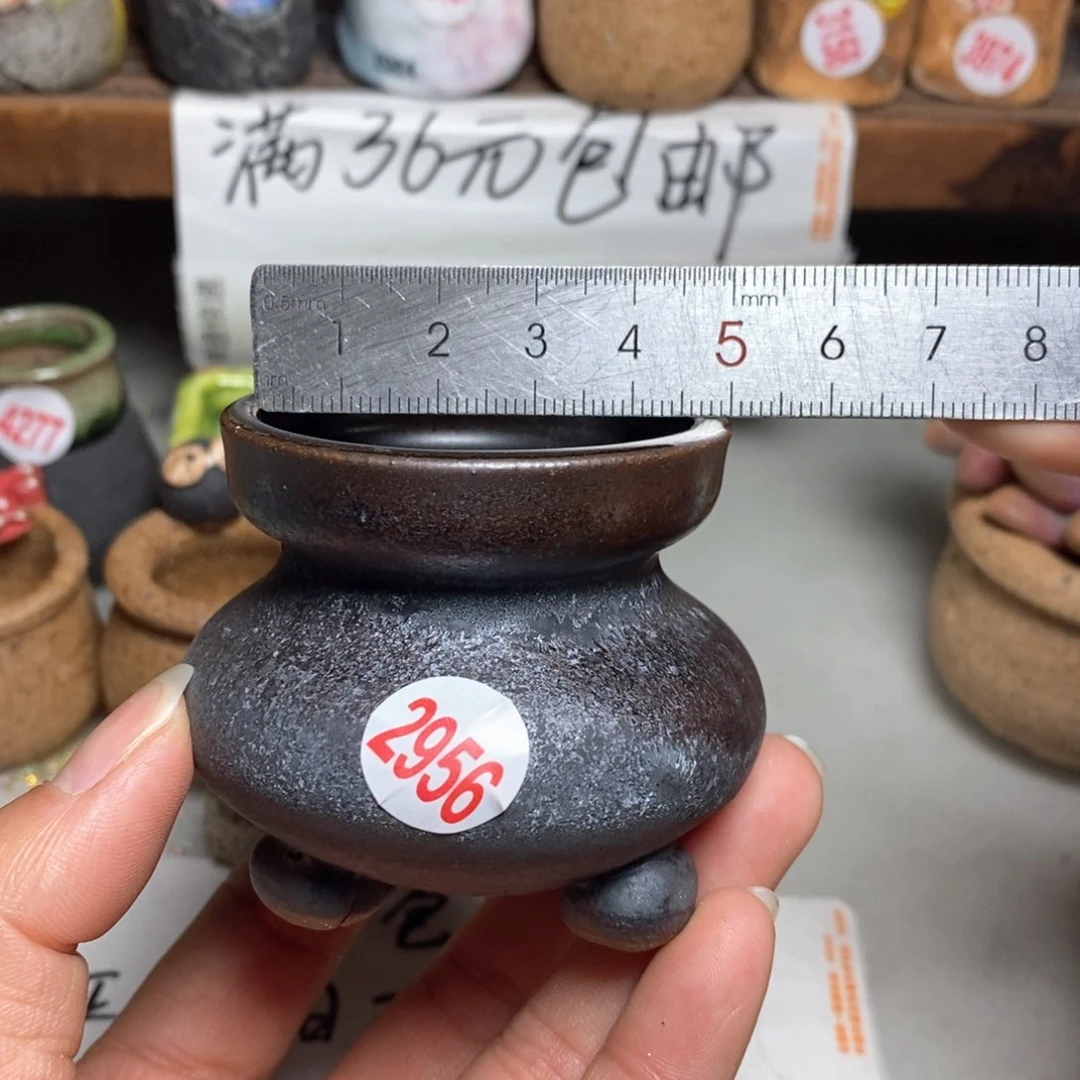 红陶拍5送一个小