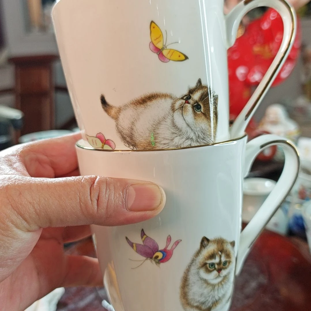 百***果摆件手工制作手工手绘发6个杯子