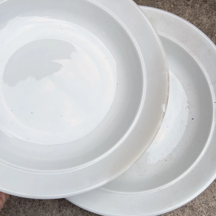 杯八寸大球泥窝盘两个