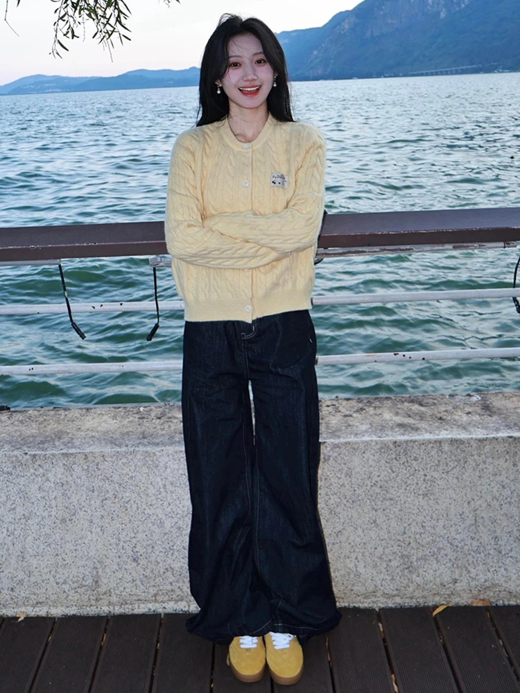 美式复古圆领毛衣女秋季麻花圆领针织开衫奶呼呼软糯外套休闲裤子