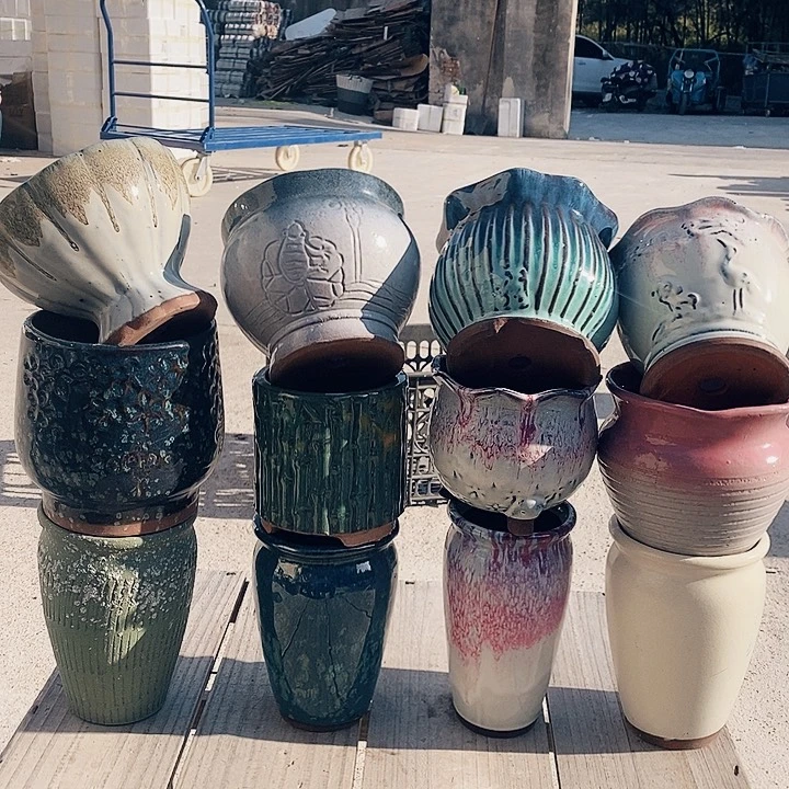 红陶正品抓紧入手多肉