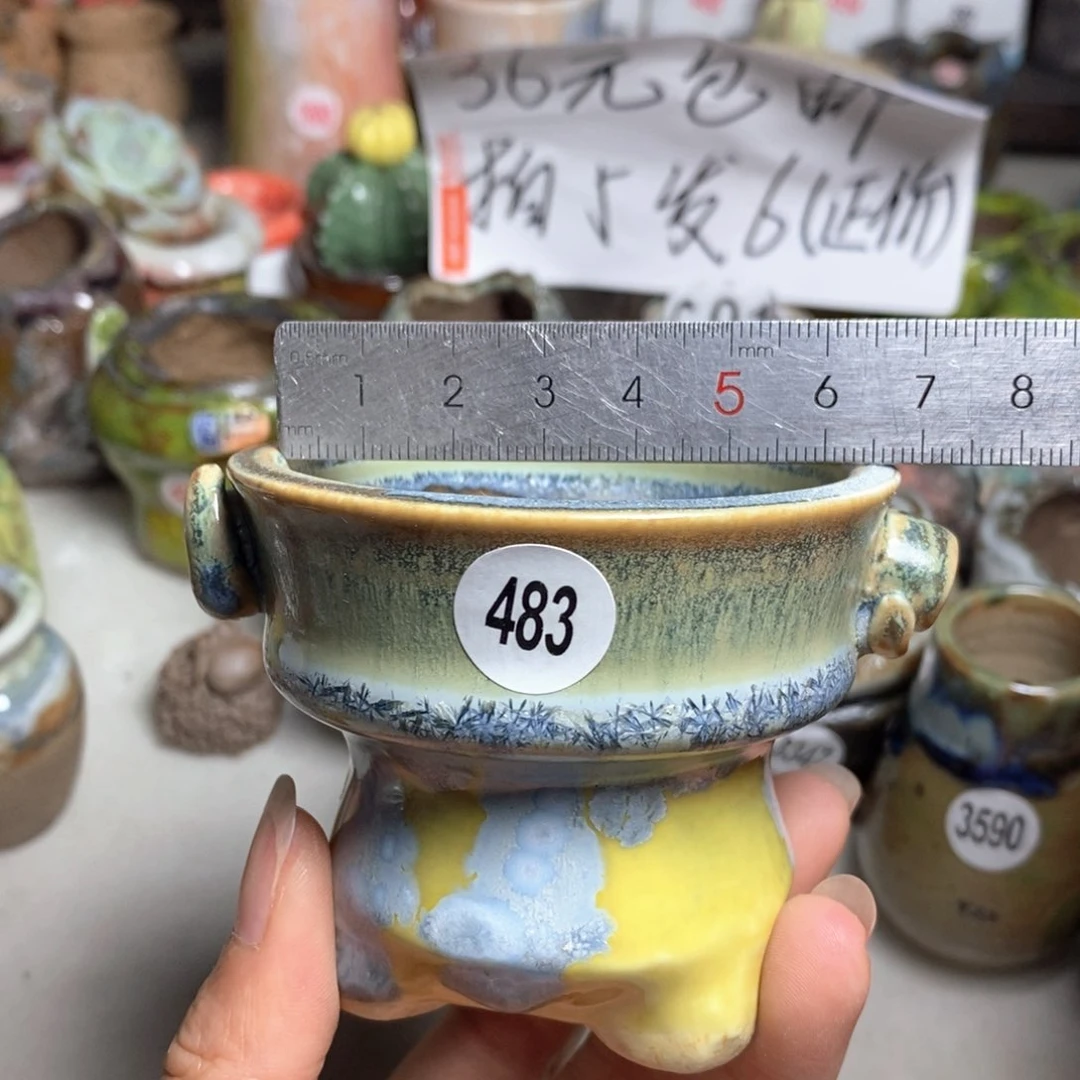 拍5送一个小礼物