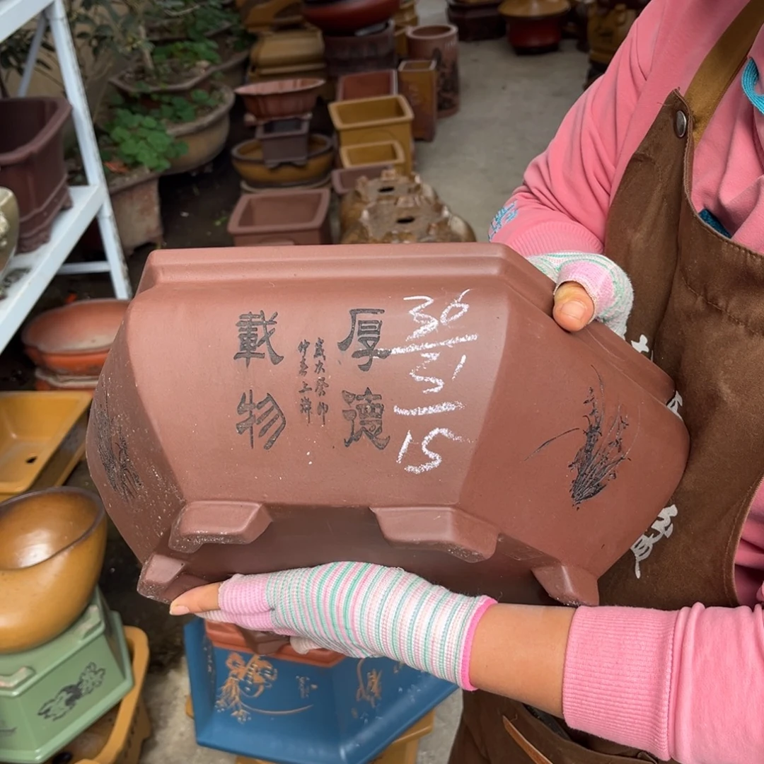 紫砂花盆盆景艺术