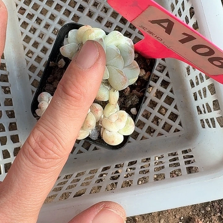 多**亿znxmckfkfkfkdk106