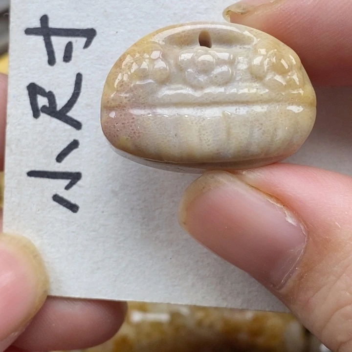 硅化珊瑚（珊瑚玉）未镶嵌颈饰