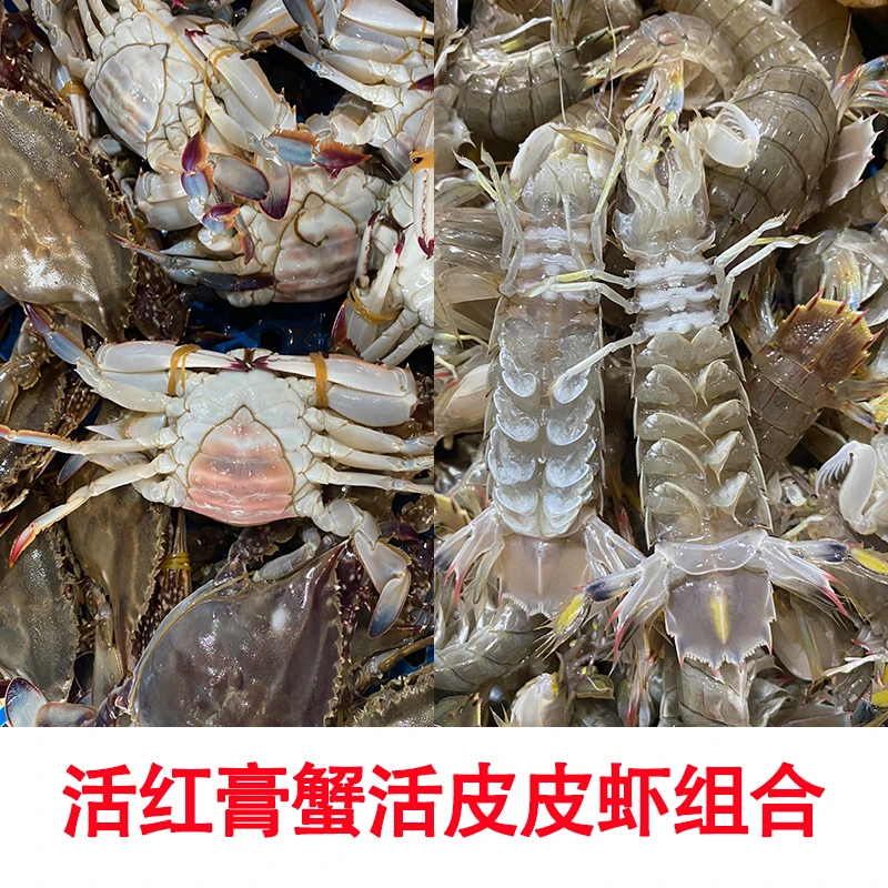【保鲜不包活】鲜活红膏蟹与鲜活全母皮皮虾混搭组合3斤起