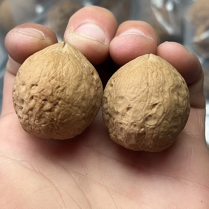 把件文玩核桃32号金蟒35尺