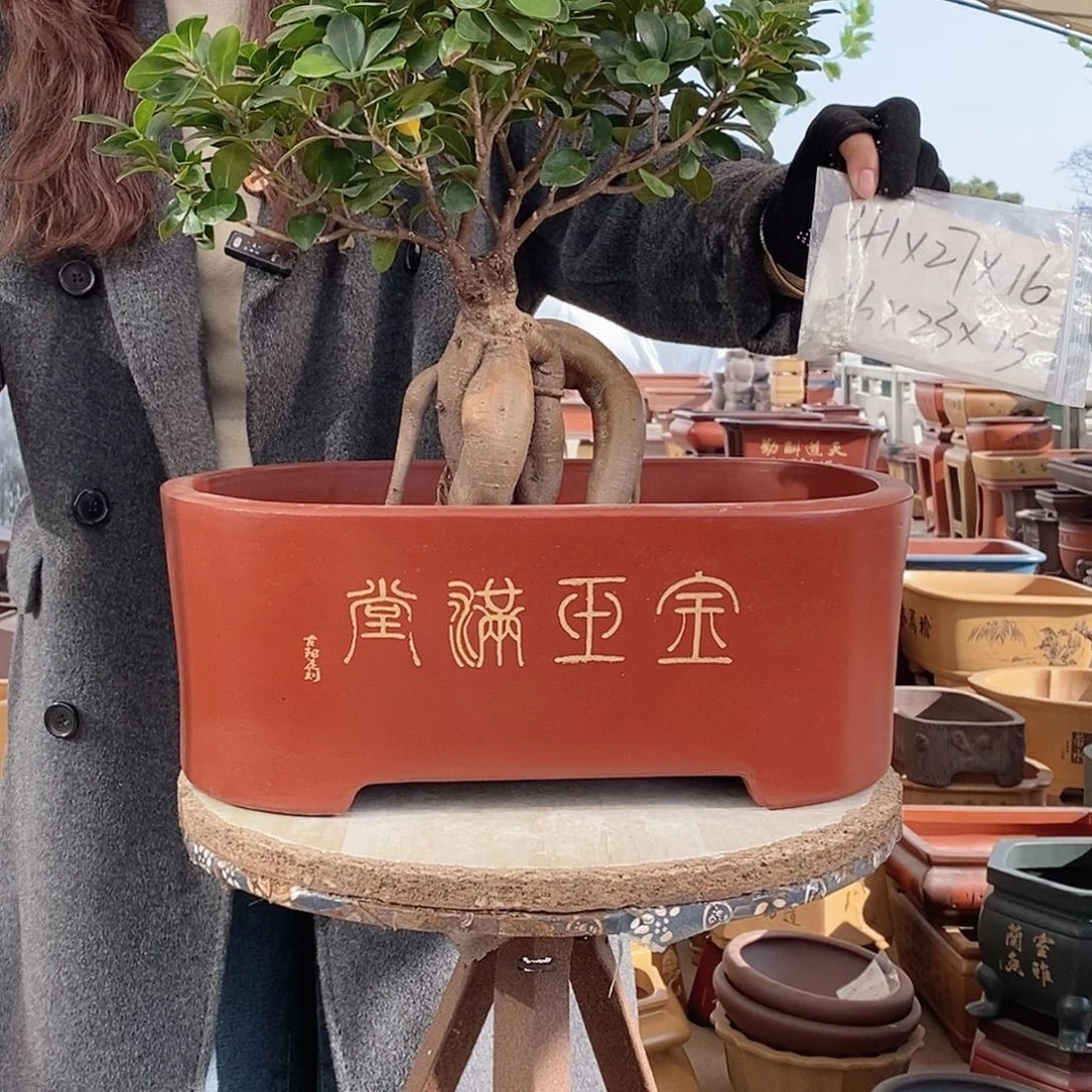 花盆紫砂紫砂花盆