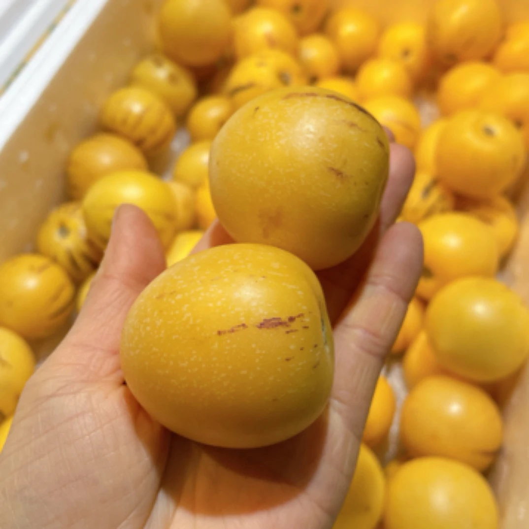 人参果小果，鲜果，2.5斤，四斤分装。