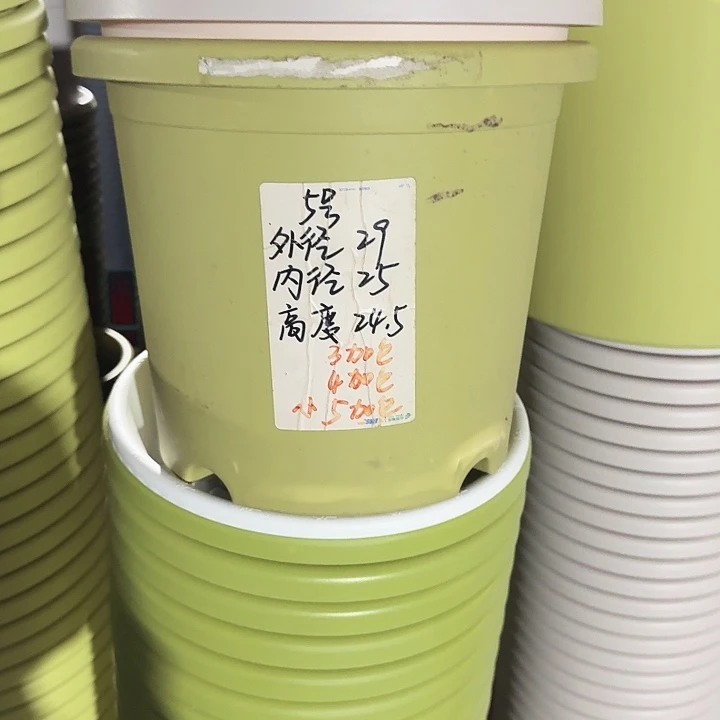 四季5#口径29果绿10个无托