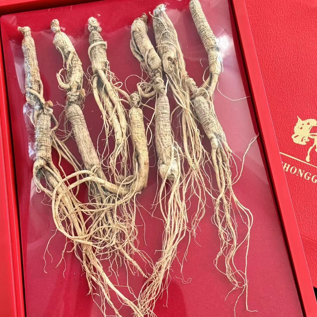 创汇优品--野山参
