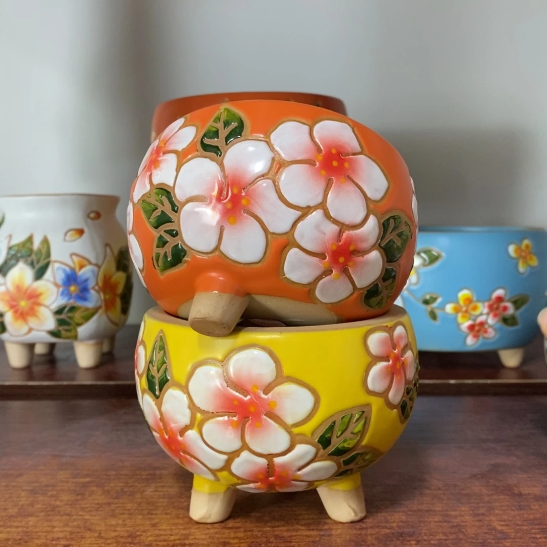 红陶满18包邮满18包邮