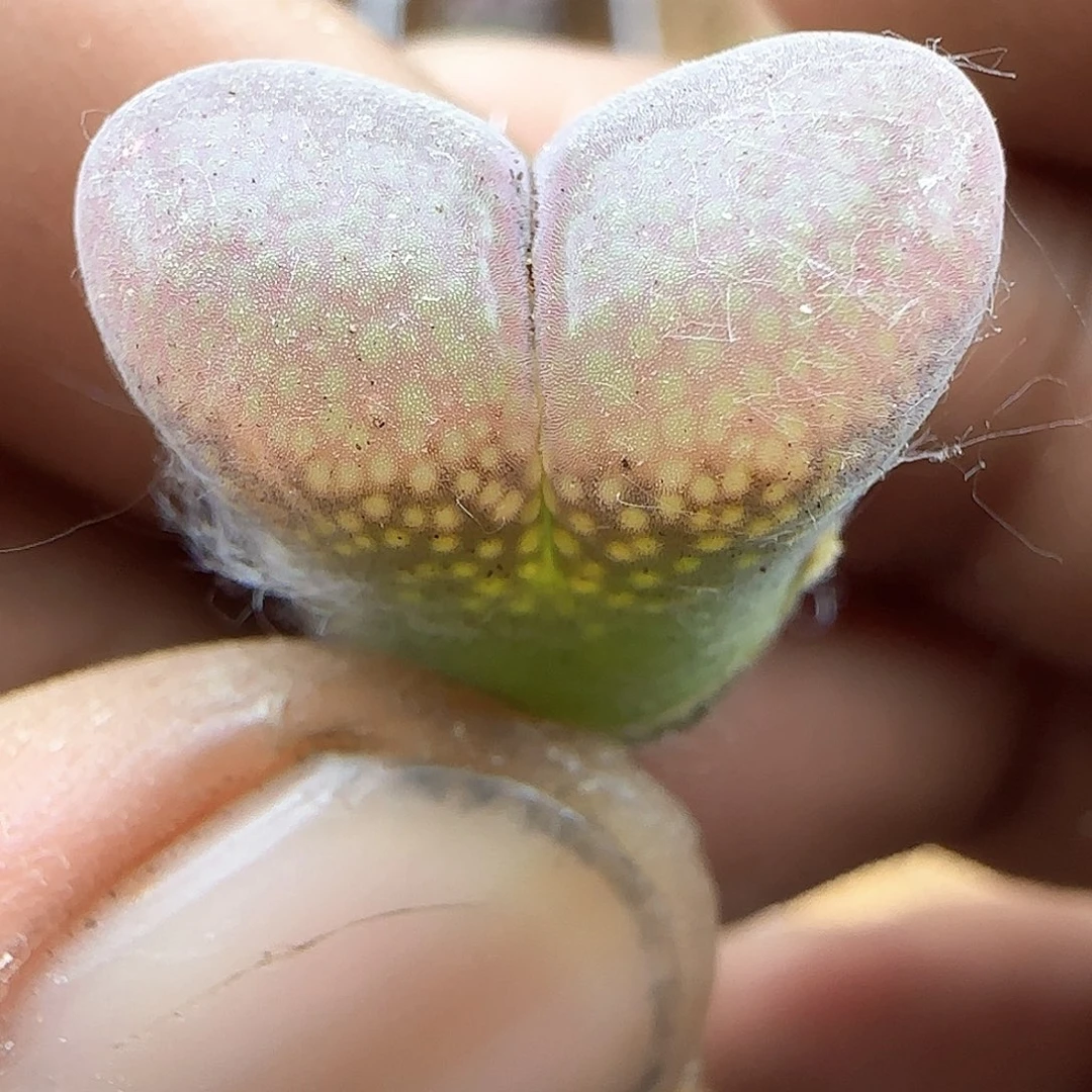 哈哈哈姐姐37653